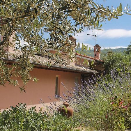 Tuscany Roses Arezzo Eksteriør bilde